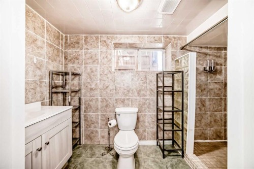 6824 Temple Drive Ne, Calgary, AB - Indoor Photo Showing Bathroom