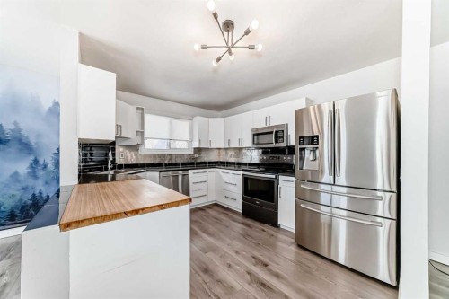 6824 Temple Drive Ne, Calgary, AB - Indoor Photo Showing Kitchen