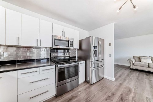 6824 Temple Drive Ne, Calgary, AB - Indoor Photo Showing Kitchen
