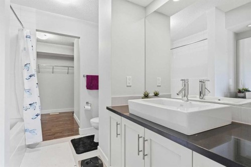 161 Rainbow Falls Glen, Chestermere, AB - Indoor Photo Showing Bathroom