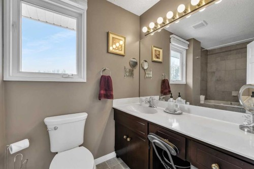 288 Deer Run Crescent Se, Calgary, AB - Indoor Photo Showing Bathroom