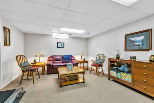 288 Deer Run Crescent Se, Calgary, AB - Indoor Photo Showing Basement