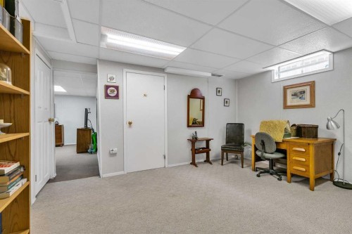 288 Deer Run Crescent Se, Calgary, AB - Indoor Photo Showing Basement