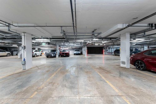 8309-1802 Mahogany Boulevard Se, Calgary, AB - Indoor Photo Showing Garage