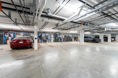 8309-1802 Mahogany Boulevard Se, Calgary, AB - Indoor Photo Showing Garage