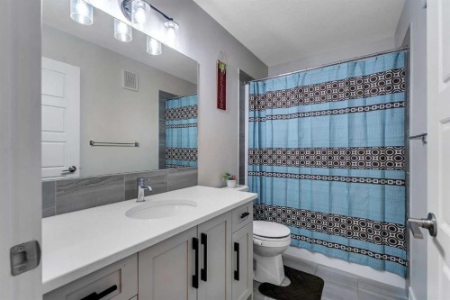 110 Waterford Road, Chestermere, AB - Indoor Photo Showing Bathroom