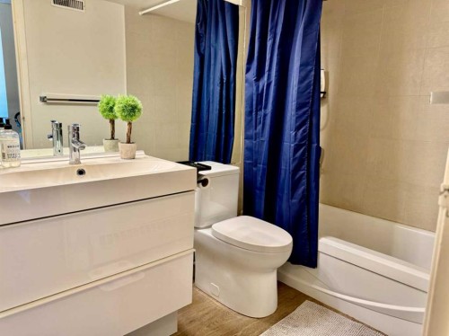 511-221 6 Avenue Se, Calgary, AB - Indoor Photo Showing Bathroom