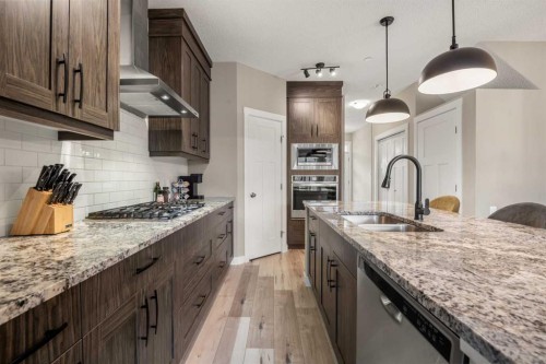 166 Howse Common Ne, Calgary, AB - Indoor Photo Showing Kitchen With Double Sink With Upgraded Kitchen