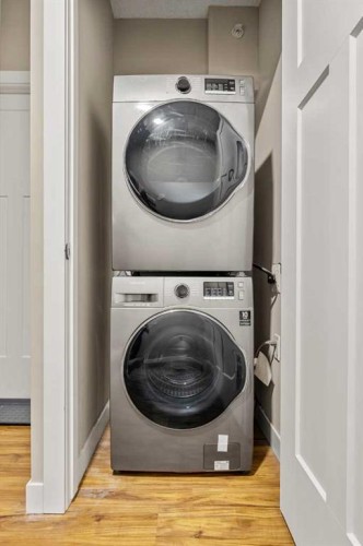 166 Howse Common Ne, Calgary, AB - Indoor Photo Showing Laundry Room