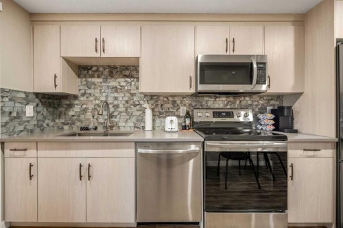 166 Howse Common Ne, Calgary, AB - Indoor Photo Showing Kitchen With Double Sink With Upgraded Kitchen