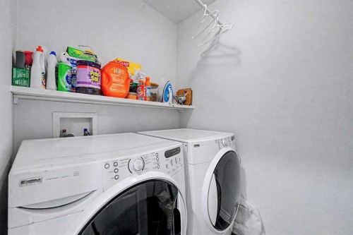 644 Luxstone Landing Sw, Airdrie, AB - Indoor Photo Showing Laundry Room