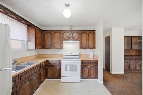 62 Templeson Crescent Ne, Calgary, AB - Indoor Photo Showing Kitchen With Double Sink