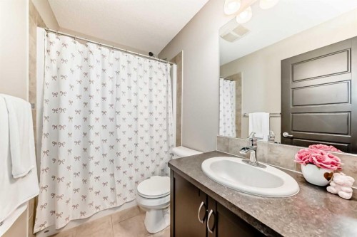 70 Sage Berry Way Nw, Calgary, AB - Indoor Photo Showing Bathroom