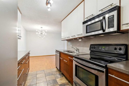 357-1620 8 Avenue Nw, Calgary, AB - Indoor Photo Showing Kitchen