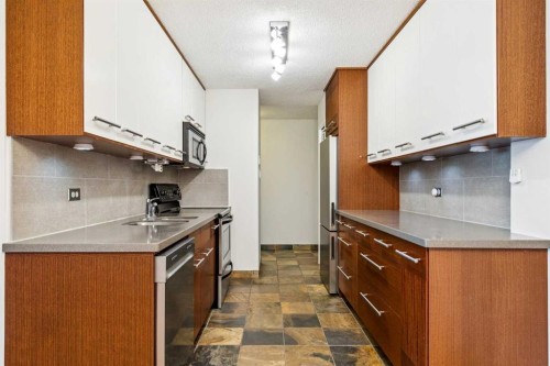 357-1620 8 Avenue Nw, Calgary, AB - Indoor Photo Showing Kitchen