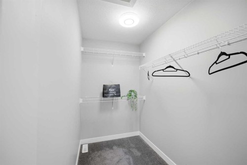 556 Redstone View Ne, Calgary, AB - Indoor