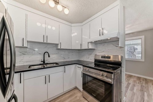 F-903 44 Street Se, Calgary, AB - Indoor Photo Showing Kitchen With Double Sink