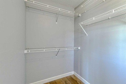 179 Rainbow Falls Drive, Chestermere, AB - Indoor With Storage