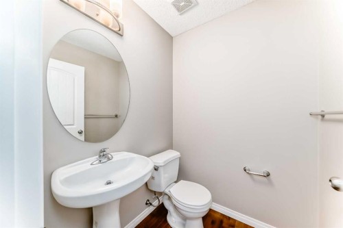 8407 Saddlebrook Drive Ne, Calgary, AB - Indoor Photo Showing Bathroom