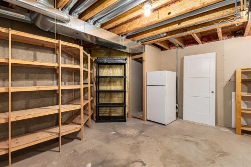 81 Inglewood Point Se, Calgary, AB - Indoor Photo Showing Basement