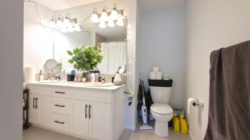 113 Cityspring Manor Ne, Calgary, AB - Indoor Photo Showing Bathroom