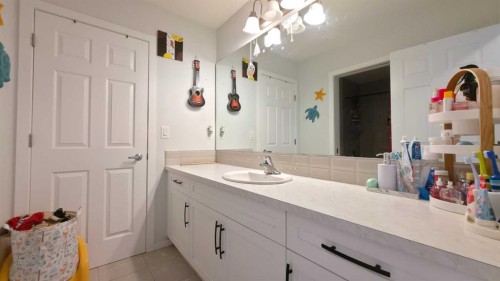 113 Cityspring Manor Ne, Calgary, AB - Indoor Photo Showing Bathroom