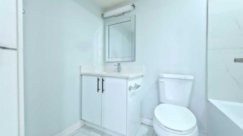 113 Cityspring Manor Ne, Calgary, AB - Indoor Photo Showing Bathroom
