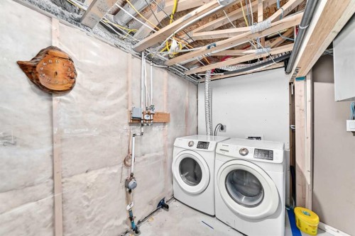 113 Cityspring Manor Ne, Calgary, AB - Indoor Photo Showing Laundry Room