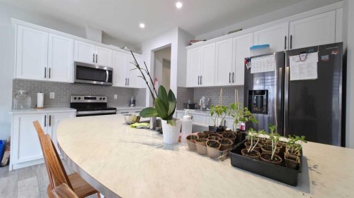 113 Cityspring Manor Ne, Calgary, AB - Indoor Photo Showing Kitchen