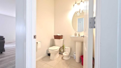 113 Cityspring Manor Ne, Calgary, AB - Indoor Photo Showing Bathroom