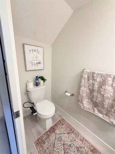 450 Seton Circle Se, Calgary, AB - Indoor Photo Showing Bathroom