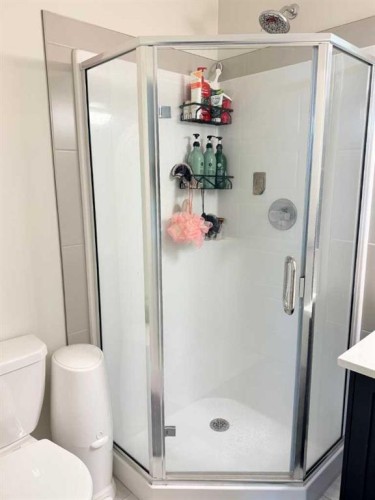 450 Seton Circle Se, Calgary, AB - Indoor Photo Showing Bathroom