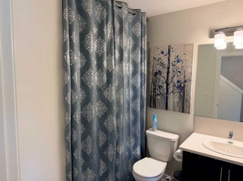450 Seton Circle Se, Calgary, AB - Indoor Photo Showing Bathroom