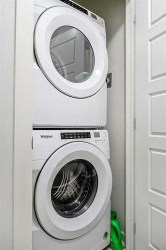 450 Seton Circle Se, Calgary, AB - Indoor Photo Showing Laundry Room