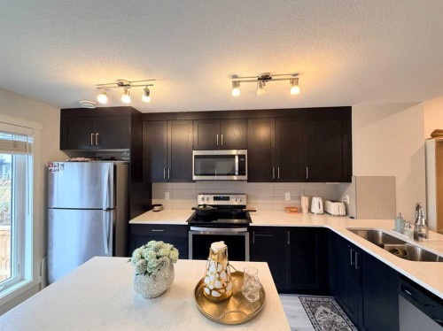 450 Seton Circle Se, Calgary, AB - Indoor Photo Showing Kitchen With Double Sink With Upgraded Kitchen
