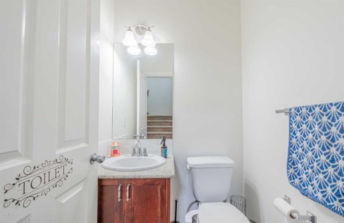 482 Skyview Ranch Way Ne, Calgary, AB - Indoor Photo Showing Bathroom