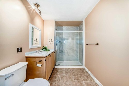 8-714 Willow Park Drive Se, Calgary, AB - Indoor Photo Showing Bathroom