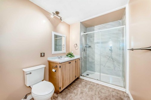 8-714 Willow Park Drive Se, Calgary, AB - Indoor Photo Showing Bathroom