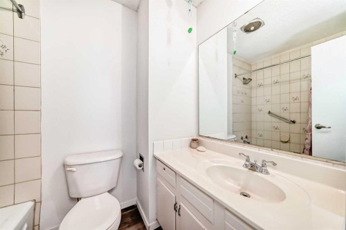 8-714 Willow Park Drive Se, Calgary, AB - Indoor Photo Showing Bathroom