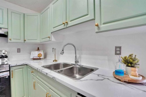 19 Taravista Gardens Ne, Calgary, AB - Indoor Photo Showing Kitchen With Double Sink