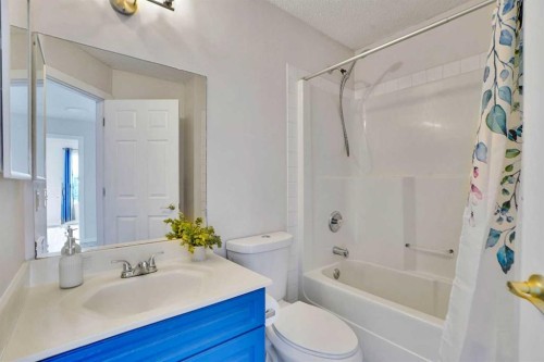 19 Taravista Gardens Ne, Calgary, AB - Indoor Photo Showing Bathroom