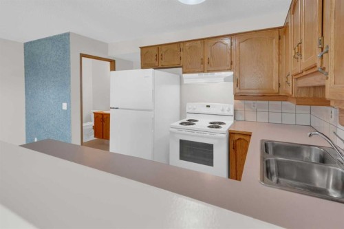 216 Shawinigan Drive Sw, Calgary, AB - Indoor Photo Showing Kitchen With Double Sink