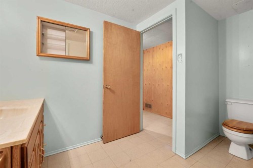 444 Woodland Crescent Se, Calgary, AB - Indoor Photo Showing Bathroom