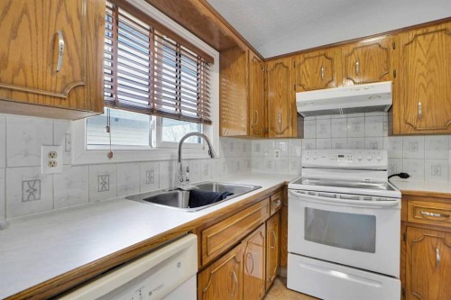 336 Whitworth Way Ne, Calgary, AB - Indoor Photo Showing Kitchen With Double Sink