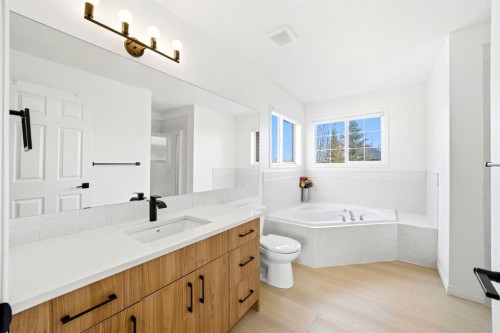 193 Hidden Creek Road Nw, Calgary, AB - Indoor Photo Showing Bathroom