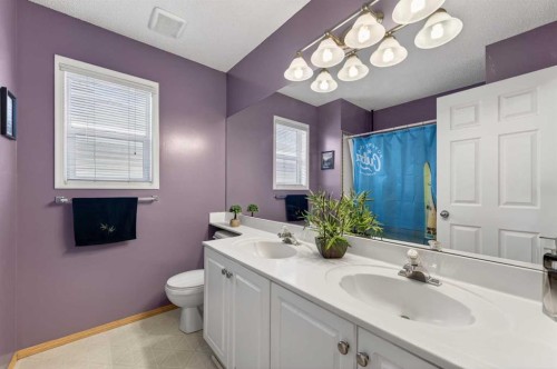 33 Harvest Oak Circle Ne, Calgary, AB - Indoor Photo Showing Bathroom