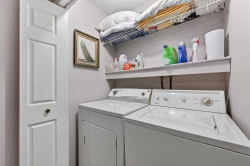 33 Harvest Oak Circle Ne, Calgary, AB - Indoor Photo Showing Laundry Room