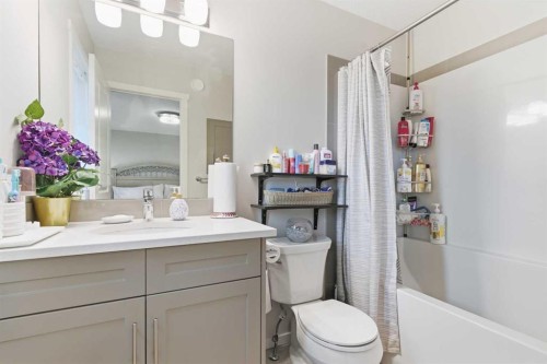 165 Savanna Street Ne, Calgary, AB - Indoor Photo Showing Bathroom