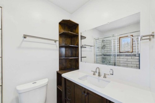 4712 51 Avenue, Alix, AB - Indoor Photo Showing Bathroom