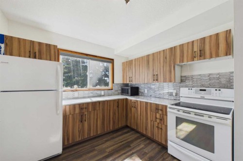4712 51 Avenue, Alix, AB - Indoor Photo Showing Kitchen